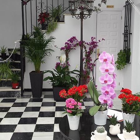 Hospederia Rural Las Buganvillas El Rocio Ngoại thất bức ảnh