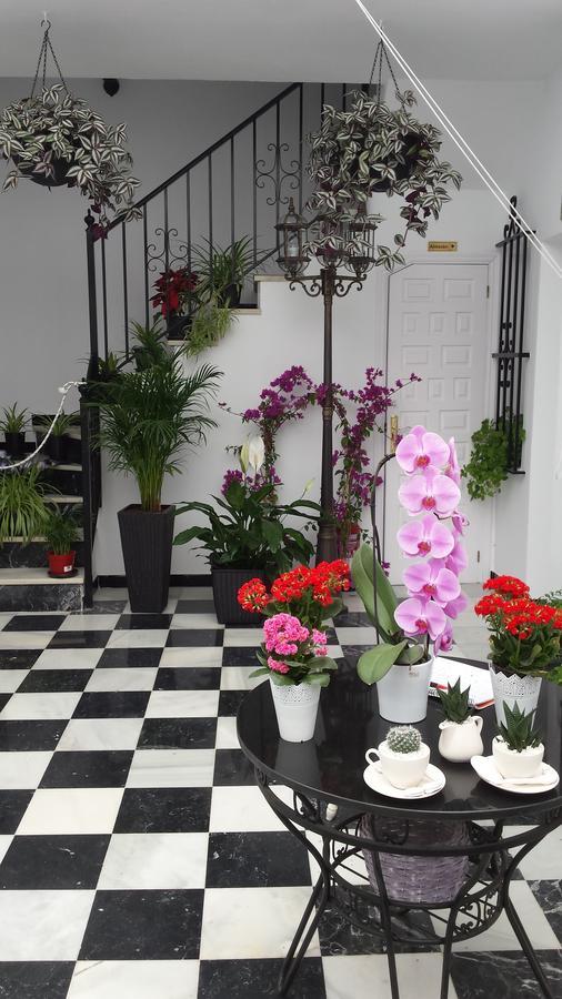 Hospederia Rural Las Buganvillas El Rocio Ngoại thất bức ảnh