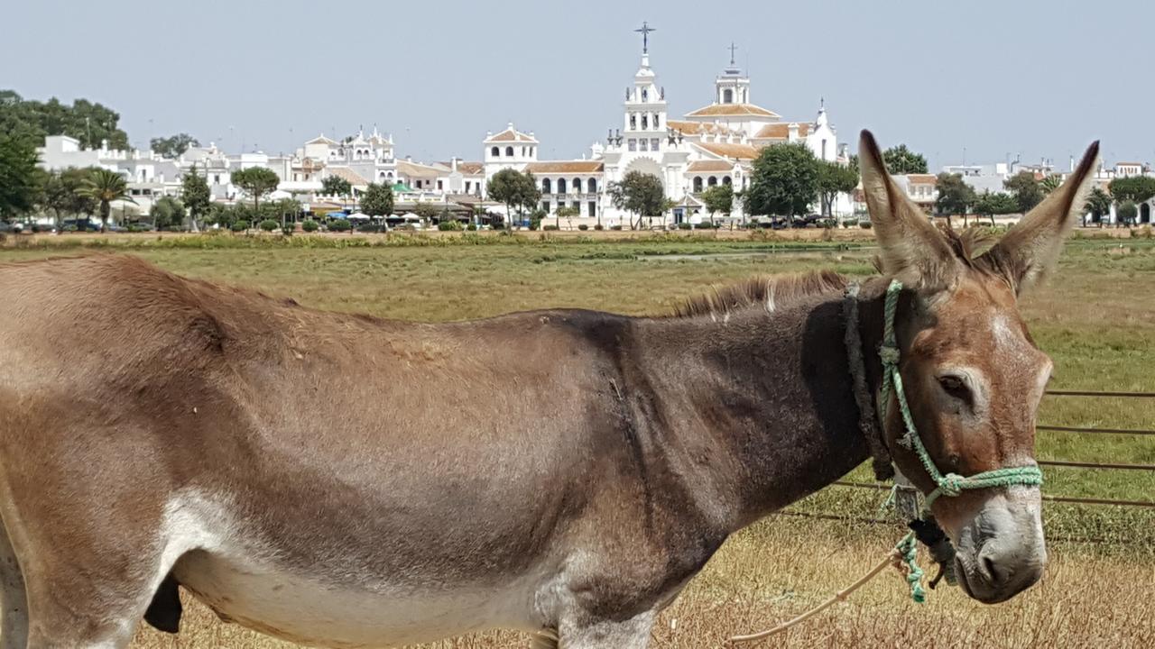 Hospederia Rural Las Buganvillas El Rocio Ngoại thất bức ảnh
