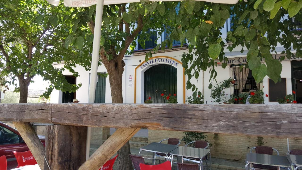 Hospederia Rural Las Buganvillas El Rocio Ngoại thất bức ảnh