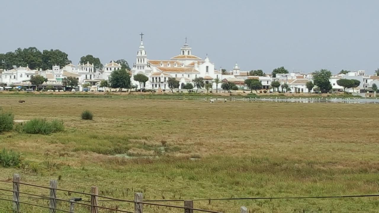 Hospederia Rural Las Buganvillas El Rocio Ngoại thất bức ảnh