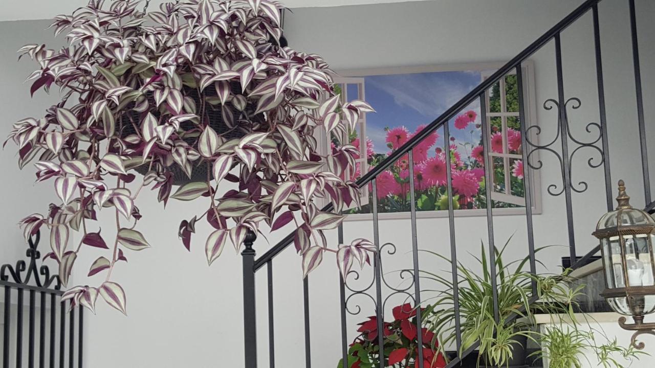 Hospederia Rural Las Buganvillas El Rocio Ngoại thất bức ảnh